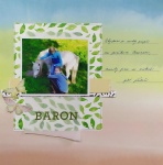 9 - Mirča 9 - Mirča